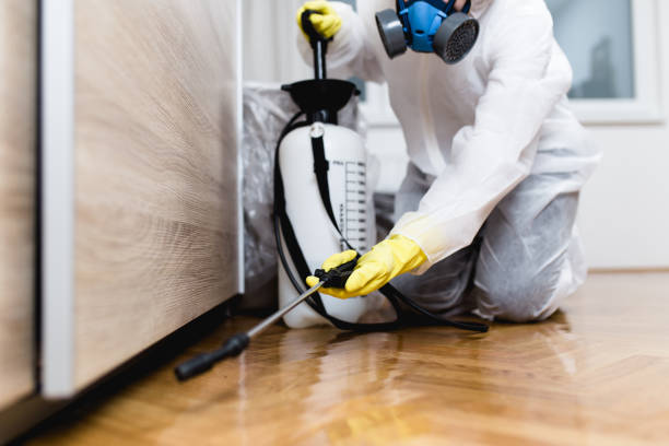  Rochester, NH Pest Control Pros