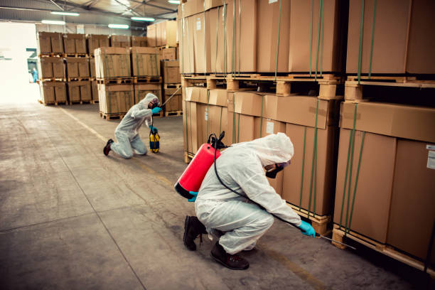 Best Wildlife Control Services  in Rochester, NH
