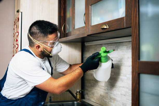 Pest Prevention Services in Rochester, NH
