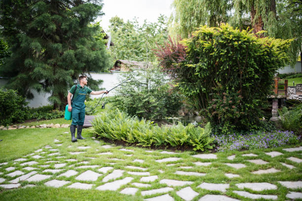 Best Affordable Pest Control Services  in Rochester, NH