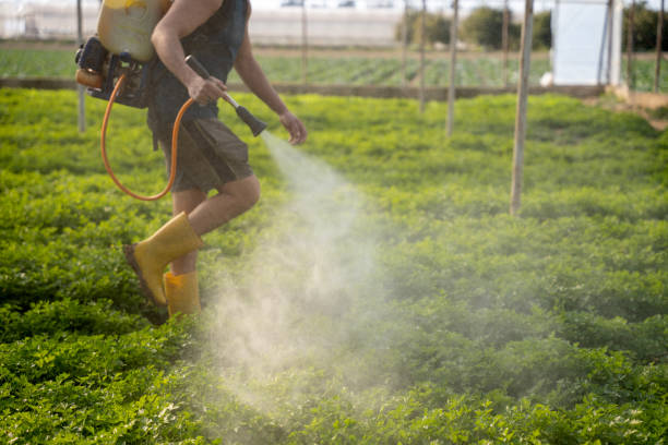 Best Best Pest Control Companies  in Rochester, NH