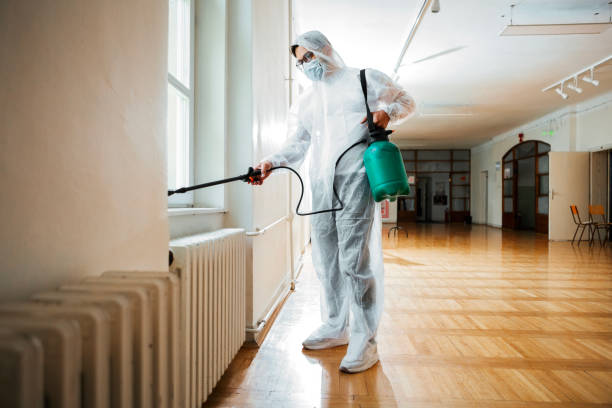 Best Residential Pest Control  in Rochester, NH