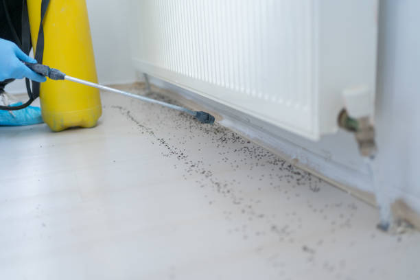 Rochester, NH Pest Control Company